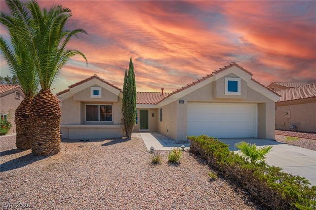 9009 Signal Terrace Drive, Las Vegas, NV 89134