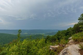 000 Crockett Point 170, Jasper, TN 37347