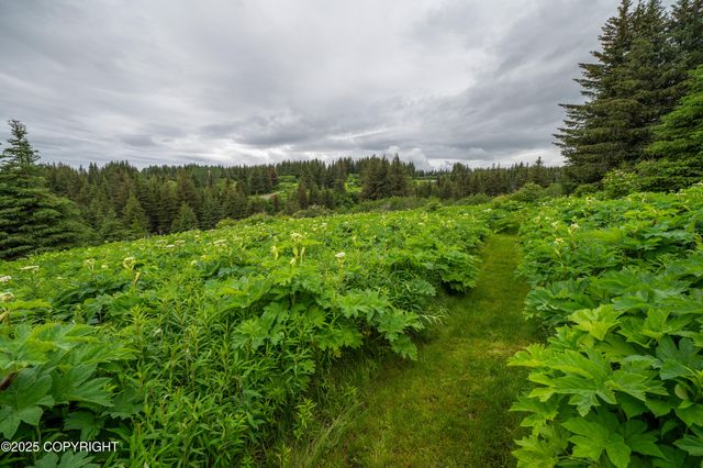 64264 Mineral Drive, Homer, AK 99603