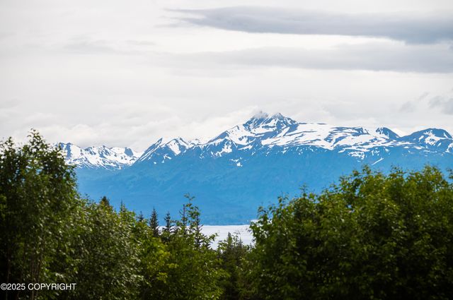 64264 Mineral Drive, Homer, AK 99603