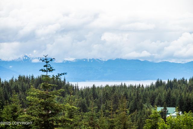 64264 Mineral Drive, Homer, AK 99603