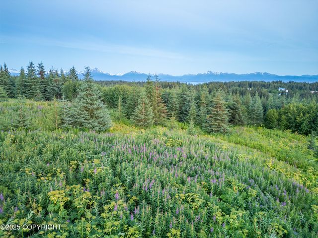 64264 Mineral Drive, Homer, AK 99603
