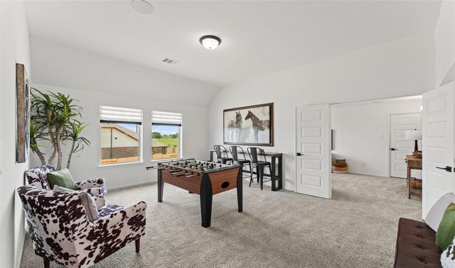 21919 Pecan Buff Drive, Waller, TX 77484