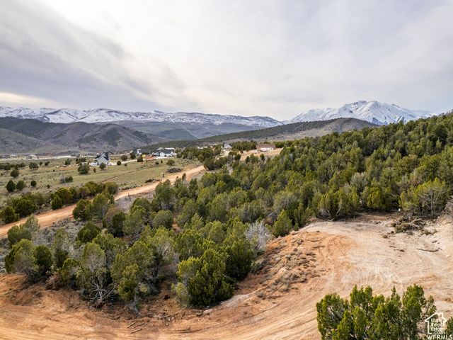 5248 COUGAR RUN, Birdseye, UT 84629