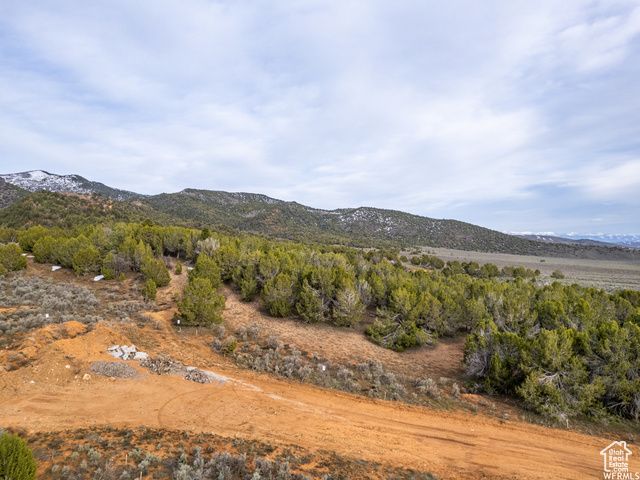 5248 COUGAR RUN, Birdseye, UT 84629
