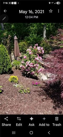 3188 Ivy Crossing Drive, Buford, GA 30519