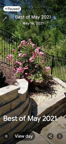 3188 Ivy Crossing Drive, Buford, GA 30519