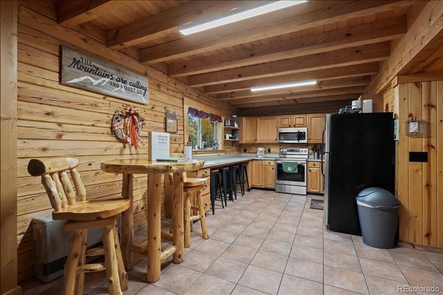 1119 venture road Road, Fairplay, CO 80440