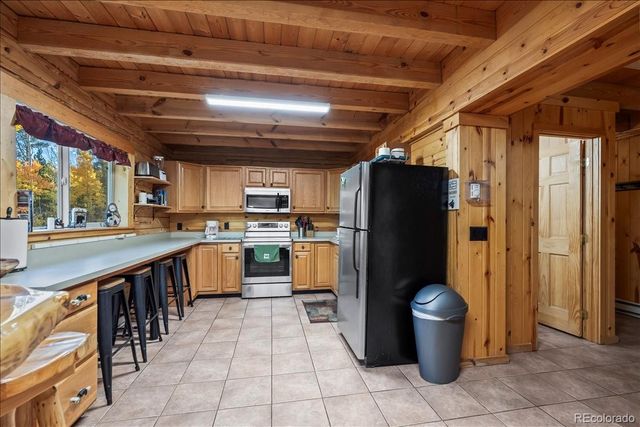 1119 venture road Road, Fairplay, CO 80440