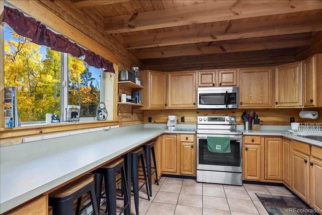 1119 venture road Road, Fairplay, CO 80440