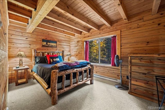 1119 venture road Road, Fairplay, CO 80440