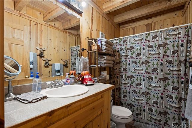 1119 venture road Road, Fairplay, CO 80440