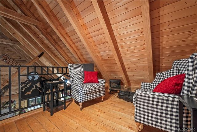 1119 venture road Road, Fairplay, CO 80440