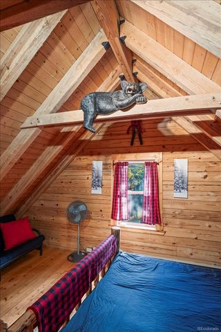 1119 venture road Road, Fairplay, CO 80440