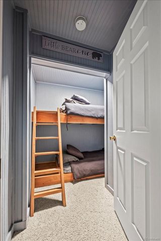 1119 venture road Road, Fairplay, CO 80440