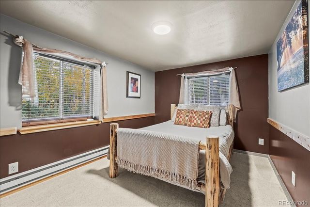 1119 venture road Road, Fairplay, CO 80440