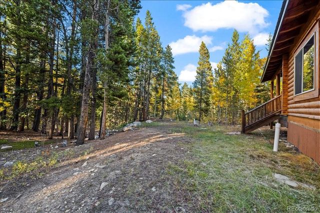 1119 venture road Road, Fairplay, CO 80440