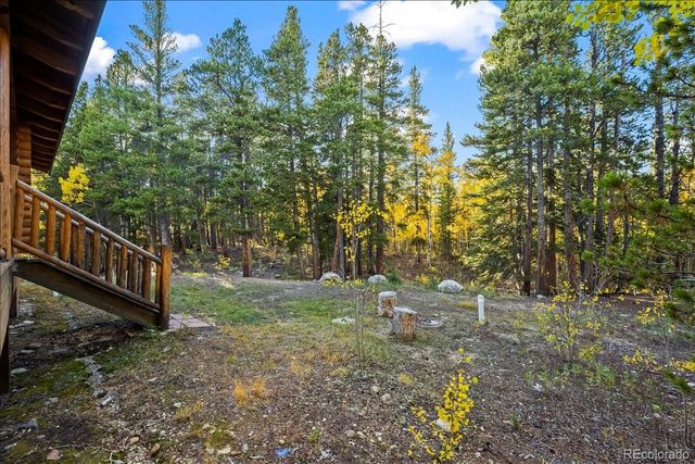 1119 venture road Road, Fairplay, CO 80440