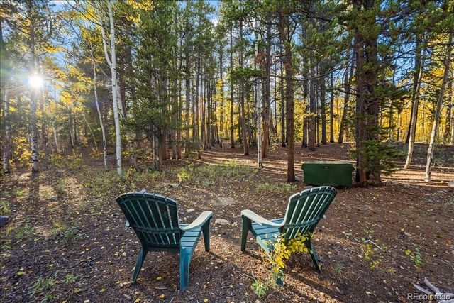 1119 venture road Road, Fairplay, CO 80440