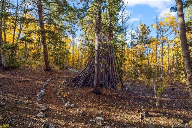 1119 venture road Road, Fairplay, CO 80440