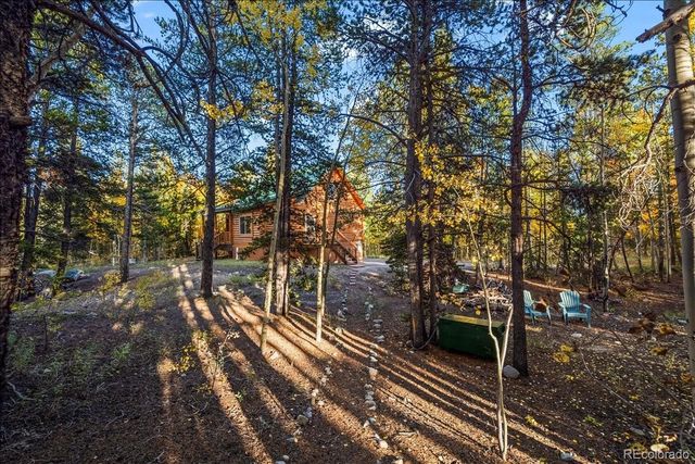 1119 venture road Road, Fairplay, CO 80440