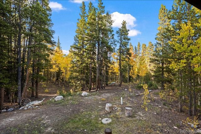 1119 venture road Road, Fairplay, CO 80440