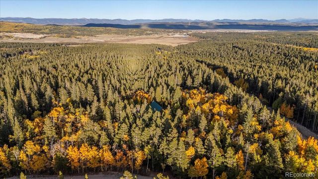 1119 venture road Road, Fairplay, CO 80440