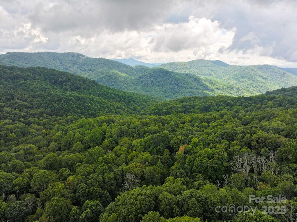 9.83 Acres Juniper Road 23, Hot Springs, NC 28743
