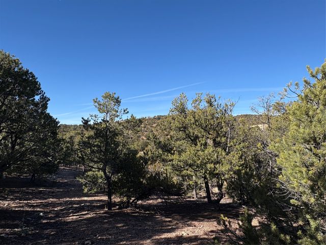 1953 Cerros Colorados, Santa Fe, NM 87501