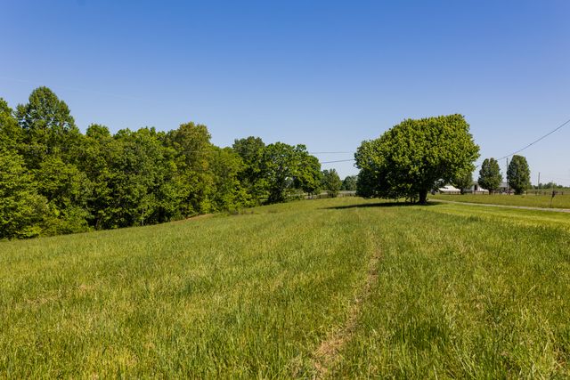 388 Mc Roberts Road, Wallingford, KY 41093