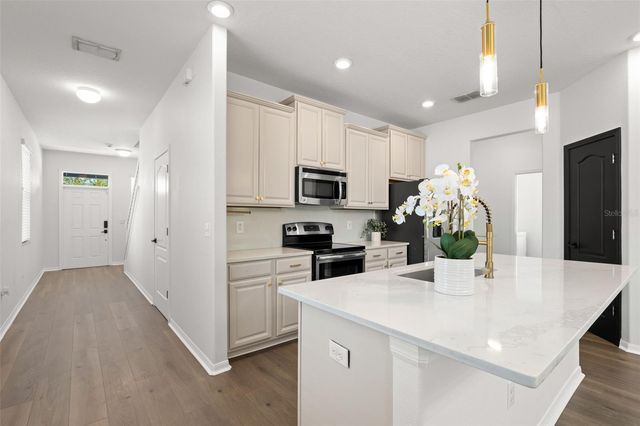 18928 HAMPSTEAD HEATH COURT, Land O Lakes, FL 34638