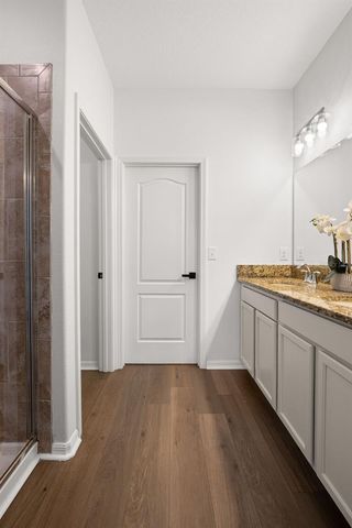 18928 HAMPSTEAD HEATH COURT, Land O Lakes, FL 34638