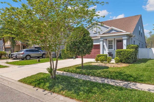 18928 HAMPSTEAD HEATH COURT, Land O Lakes, FL 34638