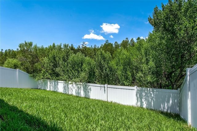 18928 HAMPSTEAD HEATH COURT, Land O Lakes, FL 34638