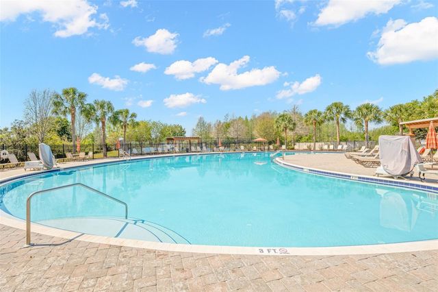 18928 HAMPSTEAD HEATH COURT, Land O Lakes, FL 34638