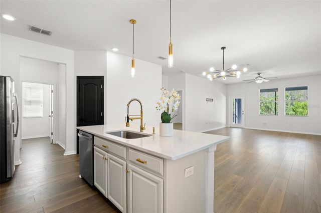 18928 HAMPSTEAD HEATH COURT, Land O Lakes, FL 34638