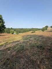 000 Ridgemont Lane, Ellijay, GA 30536