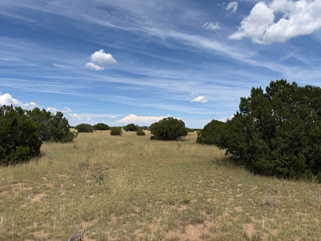 Holland Road, Mountainair, NM 87036