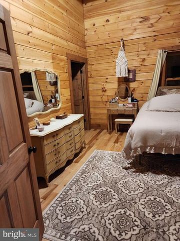 459 SPRINGFIELD ESTATES DR, Rileyville, VA 22650