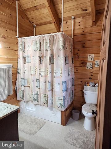 459 SPRINGFIELD ESTATES DR, Rileyville, VA 22650