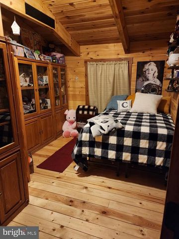 459 SPRINGFIELD ESTATES DR, Rileyville, VA 22650