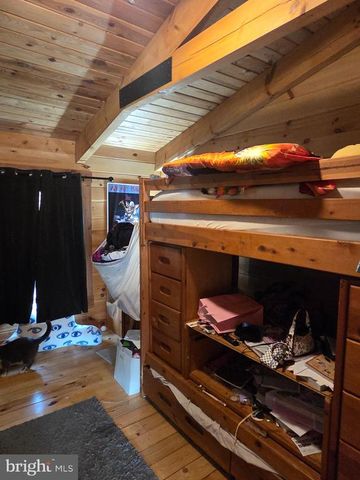 459 SPRINGFIELD ESTATES DR, Rileyville, VA 22650