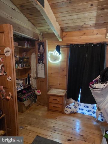 459 SPRINGFIELD ESTATES DR, Rileyville, VA 22650