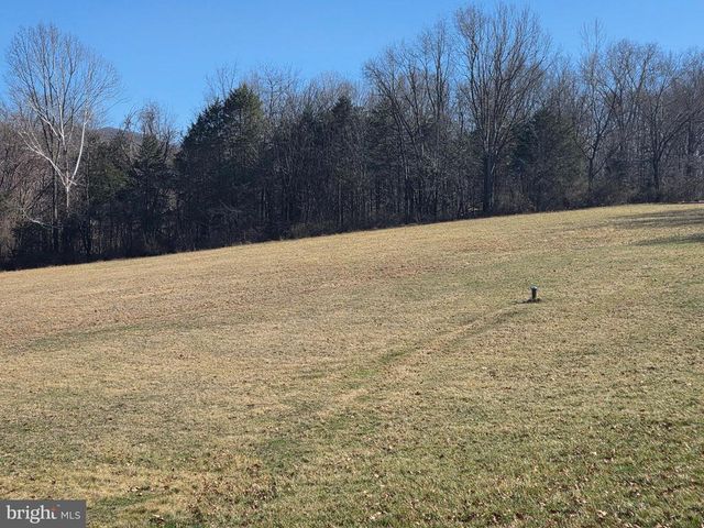 459 SPRINGFIELD ESTATES DR, Rileyville, VA 22650