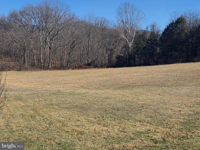 459 SPRINGFIELD ESTATES DR, Rileyville, VA 22650