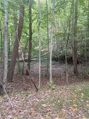 1145 Embry Court, Ranger, GA 30734