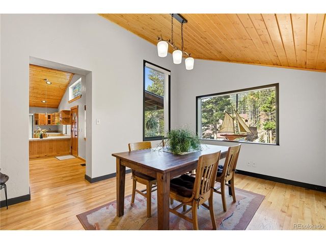 401 Lake Rd, Idaho Springs, CO 80452