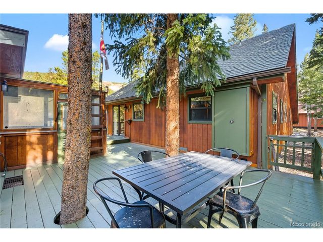 401 Lake Rd, Idaho Springs, CO 80452