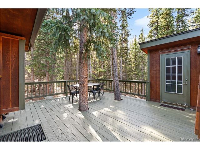401 Lake Rd, Idaho Springs, CO 80452