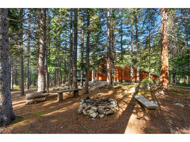 401 Lake Rd, Idaho Springs, CO 80452